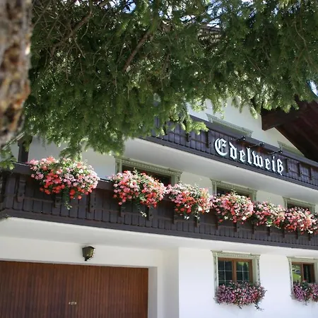 Edelweiss *